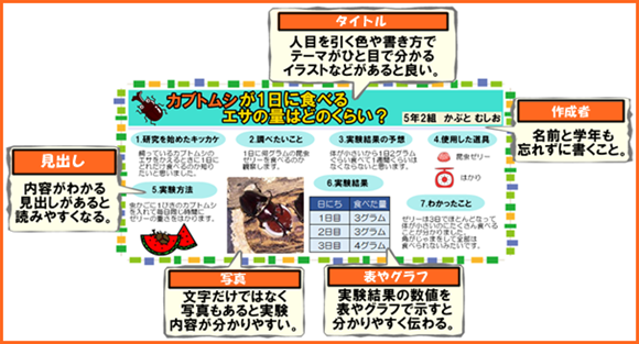 最速 クワガタ 自由研究 一年生 まとめ方